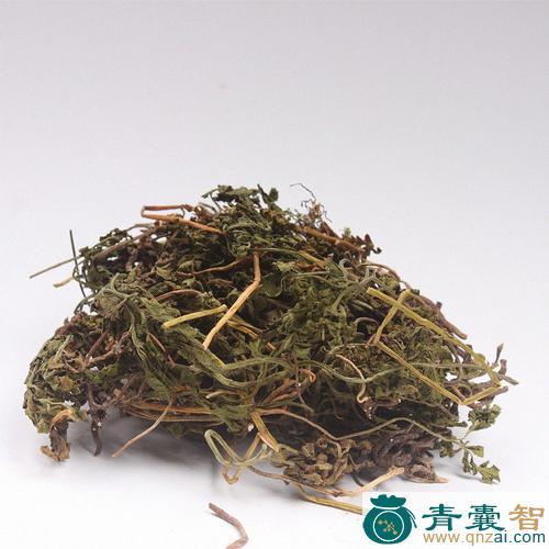 破天云的性状性味归经以及功效用法和注意事项-青囊智