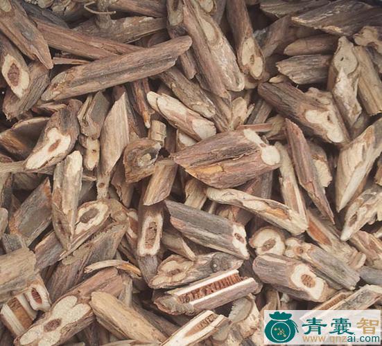 中药材破头风图片