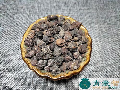 破布木的性味归经以及功效用法-青囊智