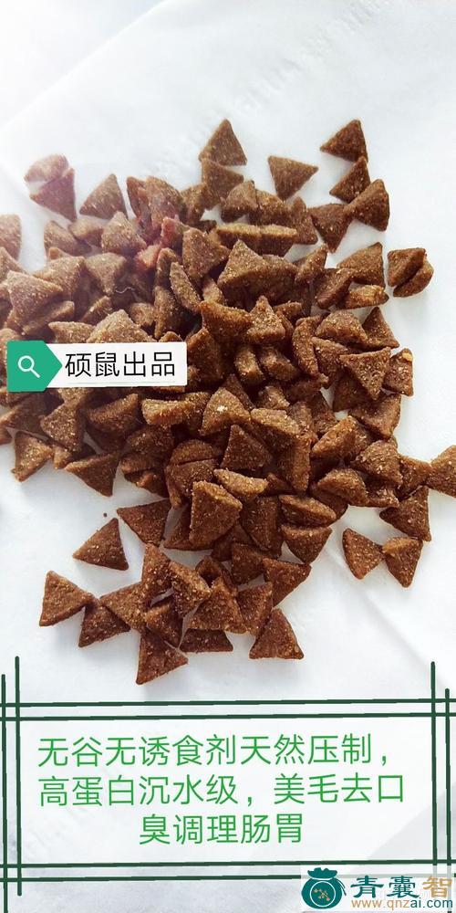 硕鼠的性状性味归经以及功效用法和注意事项-青囊智