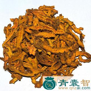 中药材硬水黄连图片