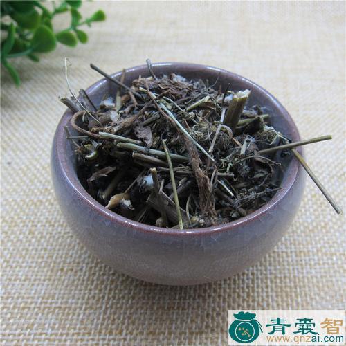 中药材碟碟草图片