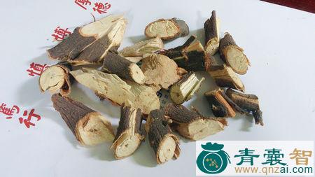 祝鸠的性味归经以及功效用法-青囊智