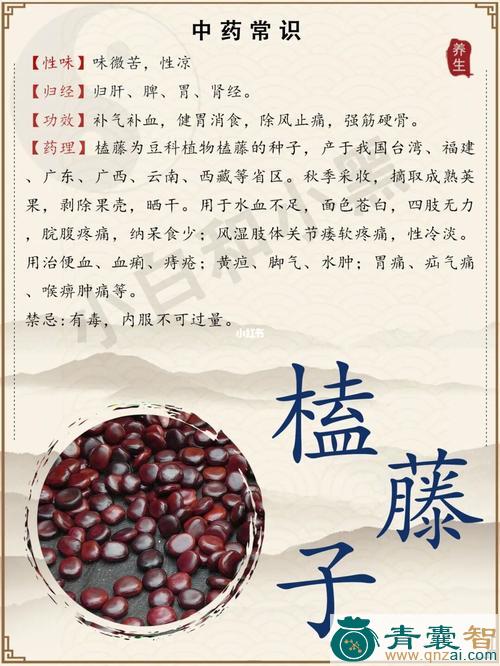 中药材禾稼子藤图片