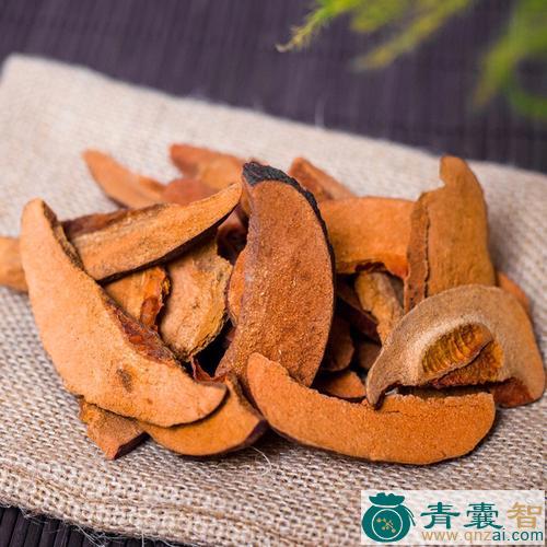 秋木瓜的性状性味归经以及功效用法和注意事项-青囊智