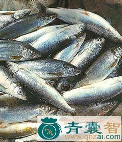 中药材秋鲑图片