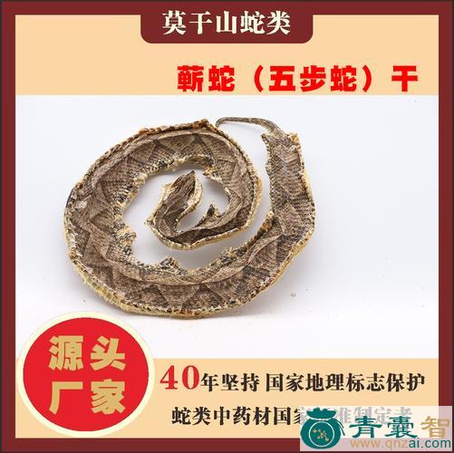 中药材秤砣蛇药图片