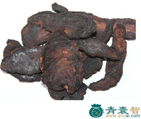 秦氏地黄黄的性味归经以及功效用法-青囊智