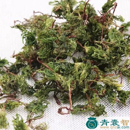 秧心草的性味归经以及功效用法和注意事项-青囊智