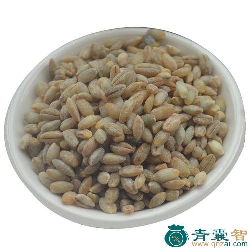 中药材稞麦图片