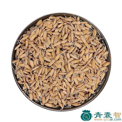 中药材稻稳图片