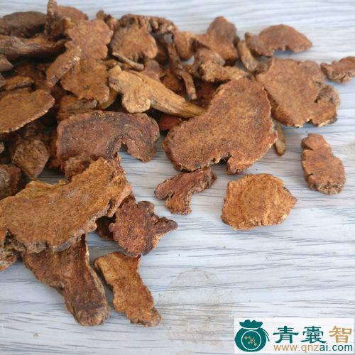 穹窿术的性状性味归经以及功效用法-青囊智