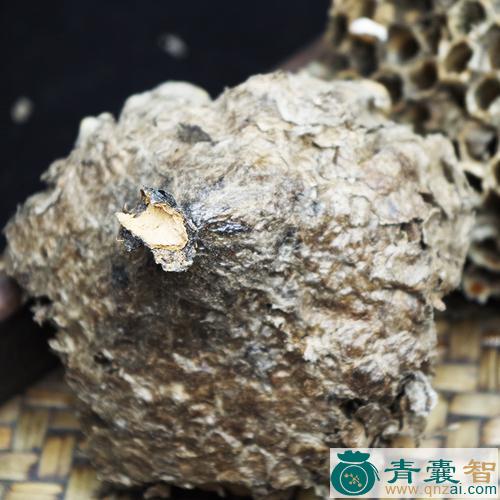 中药材窝吼图片