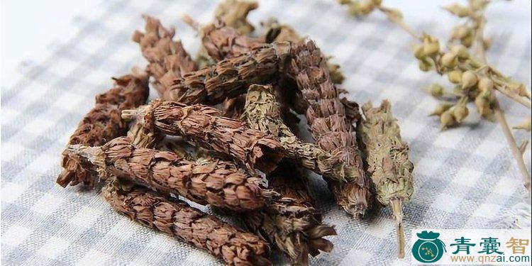 中药材立地好图片