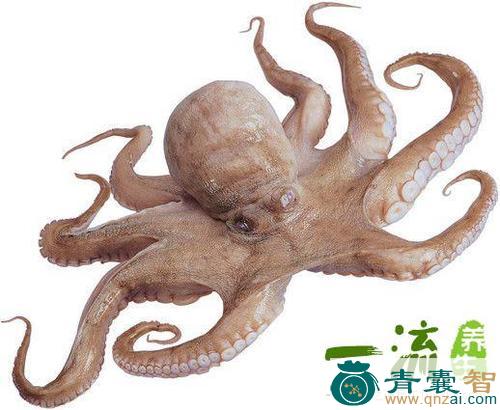 中药材章举图片