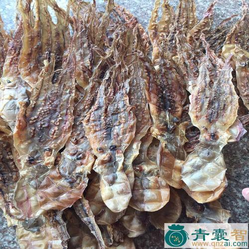 中药材章鱼图片