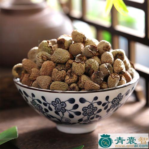 中药材端浆果图片