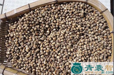 中药材竹实图片