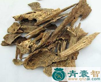 中药材竹木图片