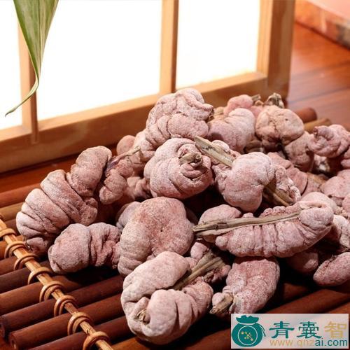 中药材竹盏花图片
