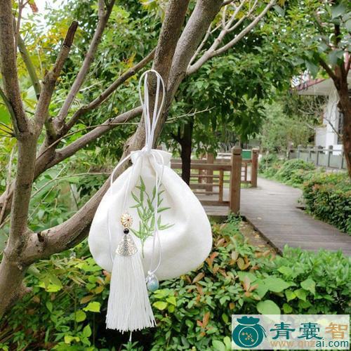 中药材竹荷包图片