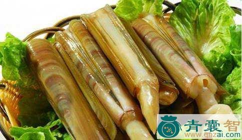 竹蛏的性味归经以及功效用法-青囊智
