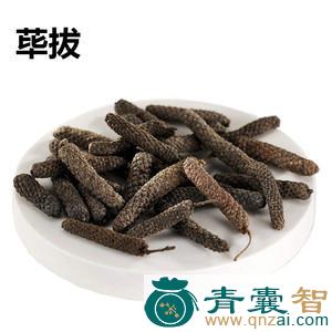 中药材竻波罗图片