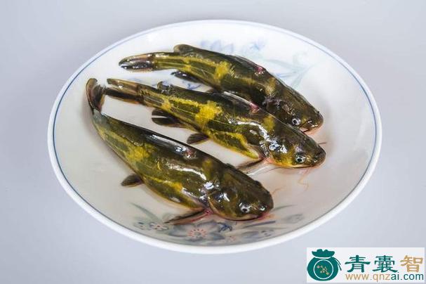 中药材竿鱼图片