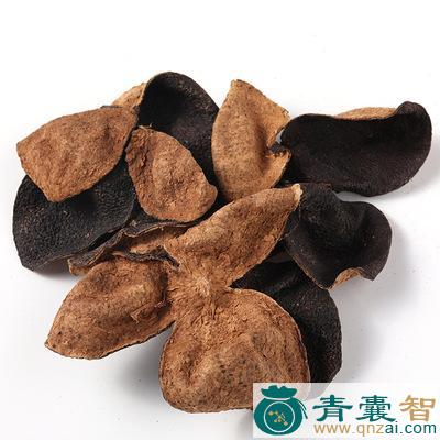 中药材笋壳莱图片