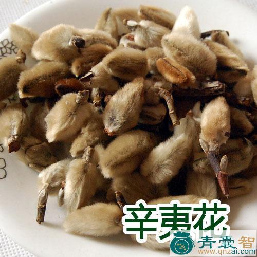 中药材笔头花图片