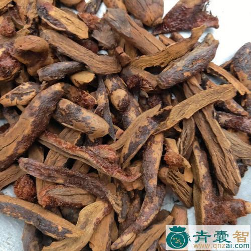 中药材筋碎补图片