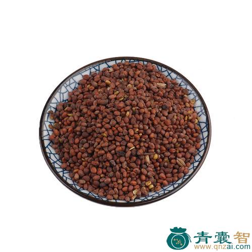中药材筲萁子紫图片