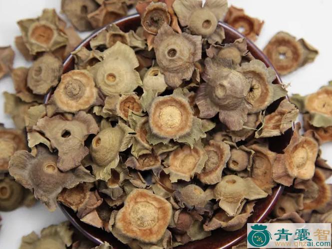 箬蒂的性味归经以及功效用法-青囊智