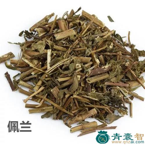 箴兰的性状性味归经以及功效用法-青囊智