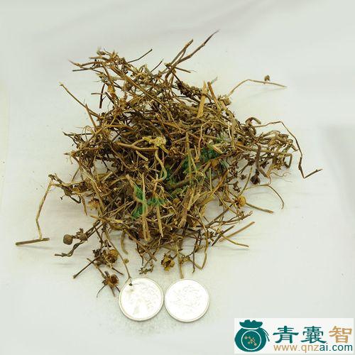 中药材篱栏图片