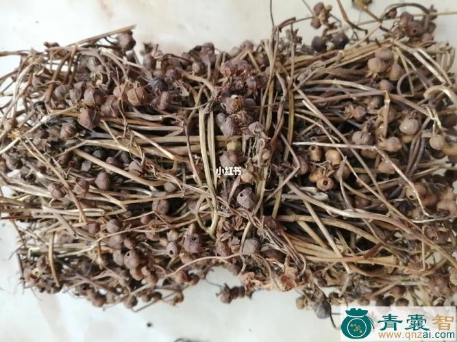中药材篱栏网图片