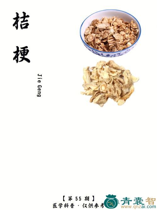 中药材篱鷃图片
