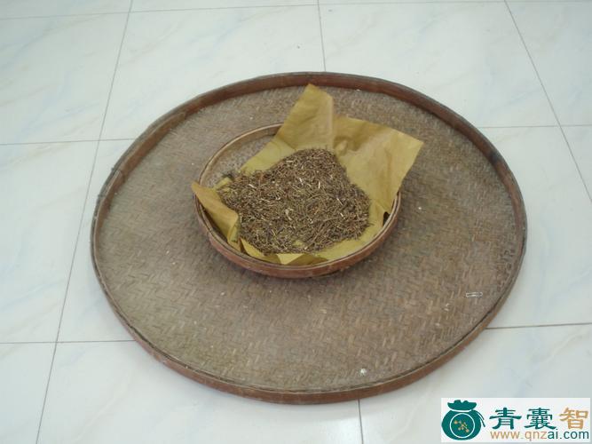 簸蝩的性味归经以及功效用法-青囊智