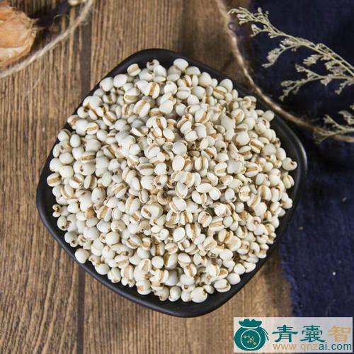 中药材米仁图片