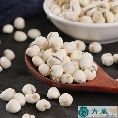 中药材米合贝图片