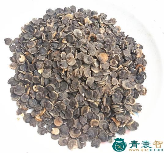 中药材籽黄图片