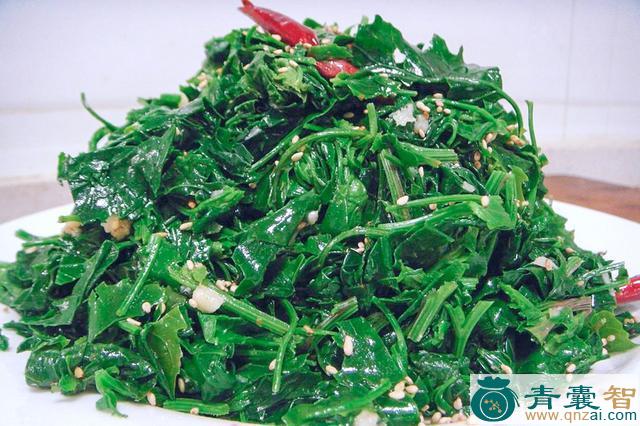 中药材粉仔菜图片