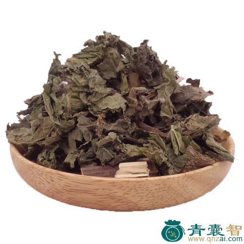 中药材粘不扎图片