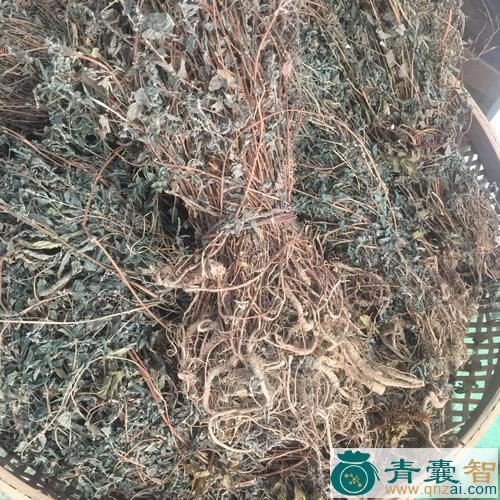 中药材粘榔根图片