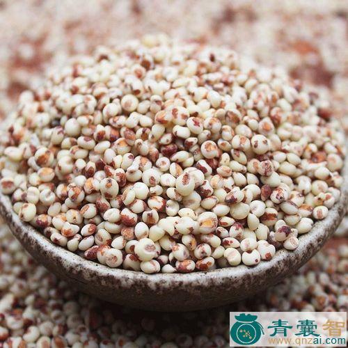 中药材粘粮粮图片