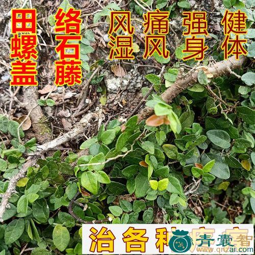 粘藤的性状性味归经以及功效用法和注意事项-青囊智