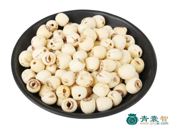 中药材粘连子图片