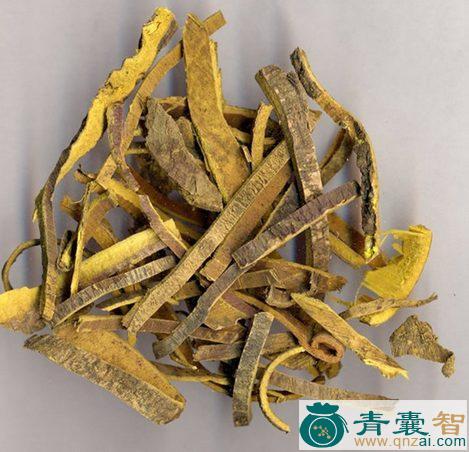 中药材粟檗图片