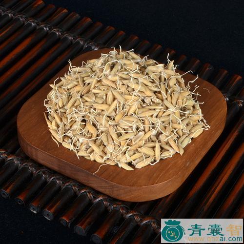 中药材粟芽图片