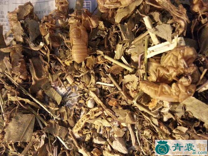 糗的性味归经以及功效用法-青囊智
